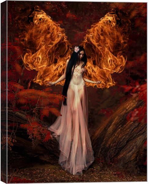 Fire Angel Canvas Print by Shaun White