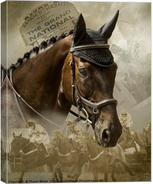Race Horse Dreams Canvas Print by Shaun White