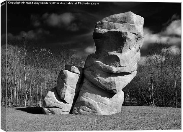 Rock face Canvas Print by macaulay sanders