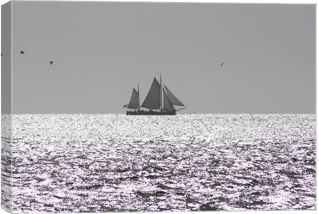 Sailing Canvas Print by Piet Peters