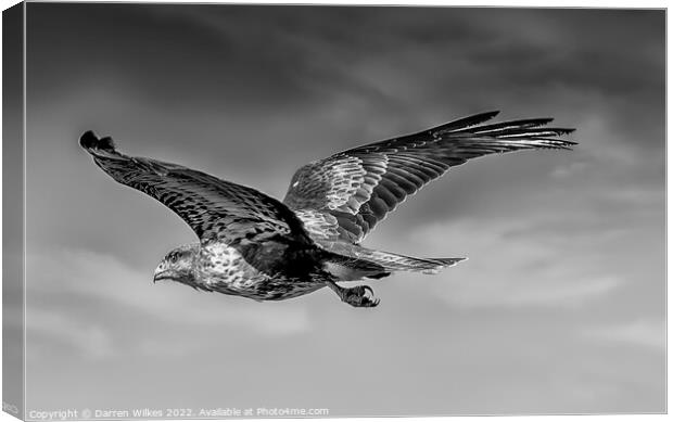Buzzard soaring the skies Canvas Print by Darren Wilkes
