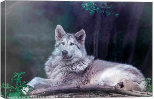 Wolfdog  Canvas Print by Darren Wilkes