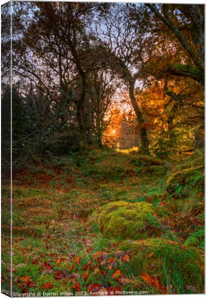 Gwydir Forest Llyn Geirionydd Llanrwst Canvas Print by Darren Wilkes