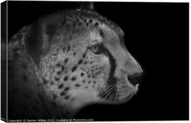 The Fierce Beauty of a Monochrome Cheetah Canvas Print by Darren Wilkes