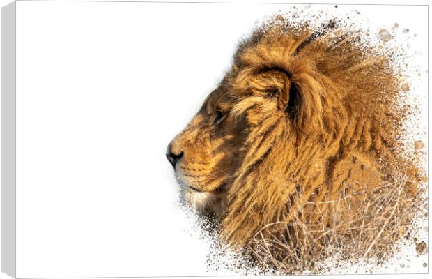 Lion Head Splatter Art Canvas Print by Darren Wilkes