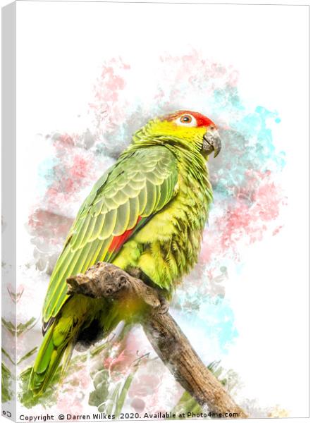 Amazon Parrot Canvas Print by Darren Wilkes