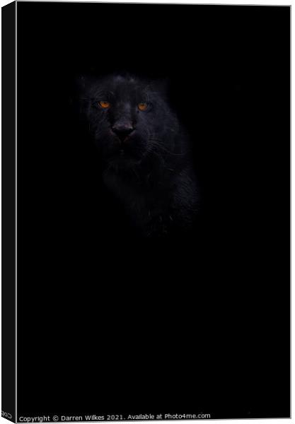 Black Jaguar - In The Shadows  Canvas Print by Darren Wilkes
