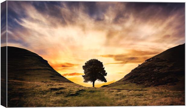 sunset behind the silhouette of Sycamore Gap Canvas Print by Guido Parmiggiani