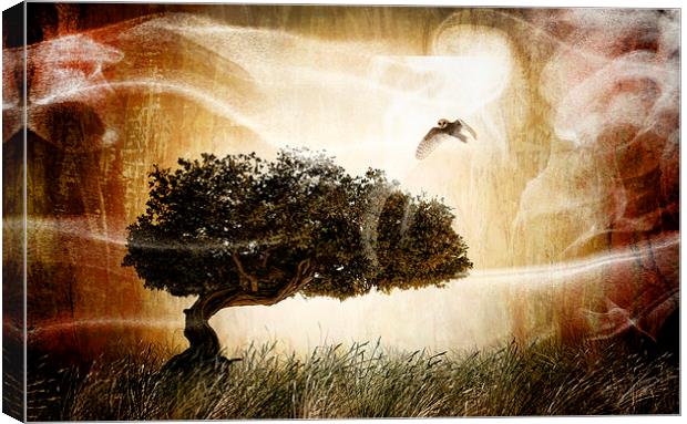 The magic tree Canvas Print by Guido Parmiggiani