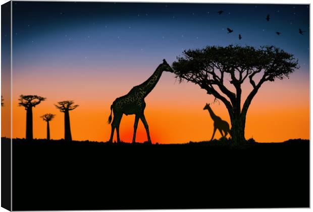 giraffes at sunset Canvas Print by Guido Parmiggiani