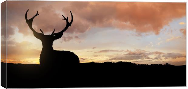 Silhouette of a young deer in the forest at sunset Canvas Print by Guido Parmiggiani
