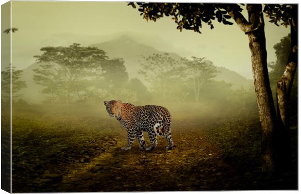 Leopard surprised in the forest Canvas Print by Guido Parmiggiani