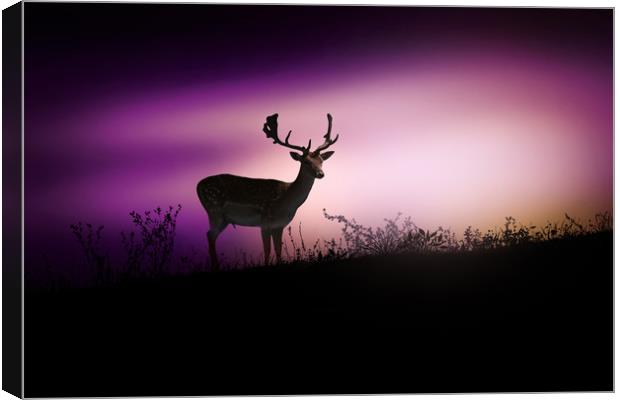 Silhouette of a young deer in the forest at sunset Canvas Print by Guido Parmiggiani