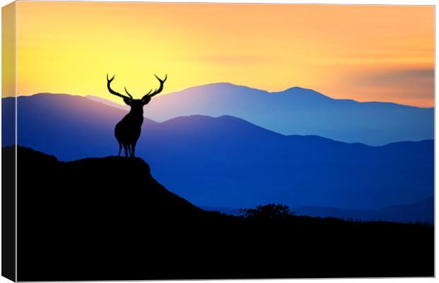 deer at sunset  Canvas Print by Guido Parmiggiani