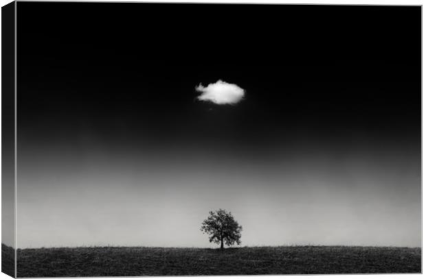 One day a cloud meets a oak tree, so strong friend Canvas Print by Guido Parmiggiani
