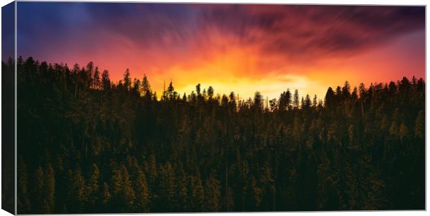 sunset over the forest  Canvas Print by Guido Parmiggiani