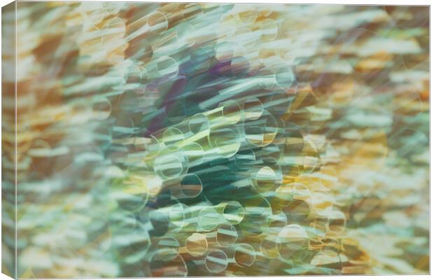 Hypnotic Spectrum of Dynamic Blurs Canvas Print by Guido Parmiggiani