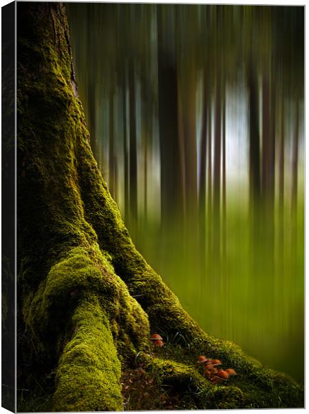 Spell-bound Canvas Print by Keith Naylor