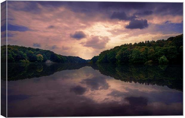  Newmillerdam Reflections Canvas Print by ZI Photography