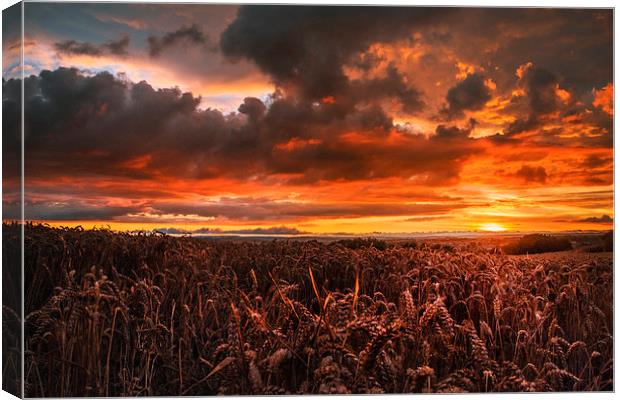  Red sky at night  Canvas Print by ZI Photography