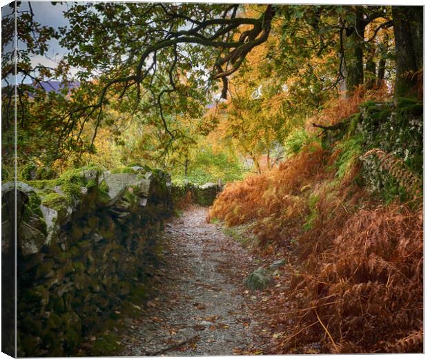 Autumn Lake District path Canvas Print by Ceri Jones