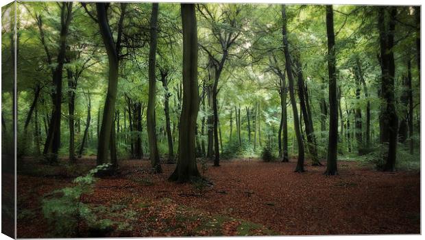 Breezy Summer Woods Canvas Print by Ceri Jones