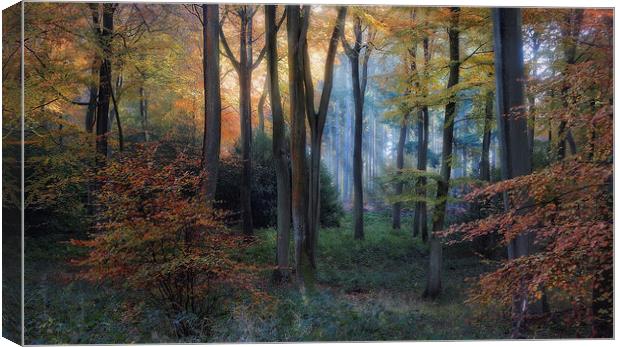 Early Autumn Morning Canvas Print by Ceri Jones