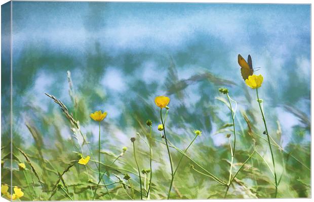 Photo-Art Summer Fields Canvas Print by Ceri Jones