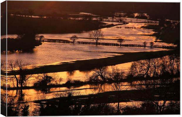 Thames Flood at Sunset Canvas Print by Ceri Jones