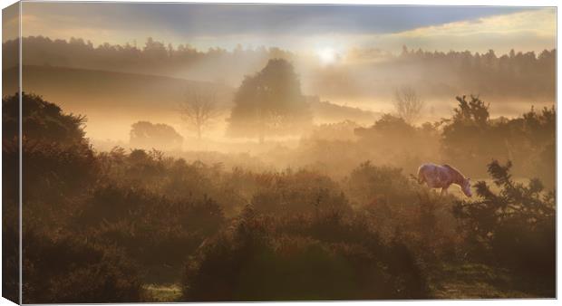 New Forest Dawn Canvas Print by Ceri Jones
