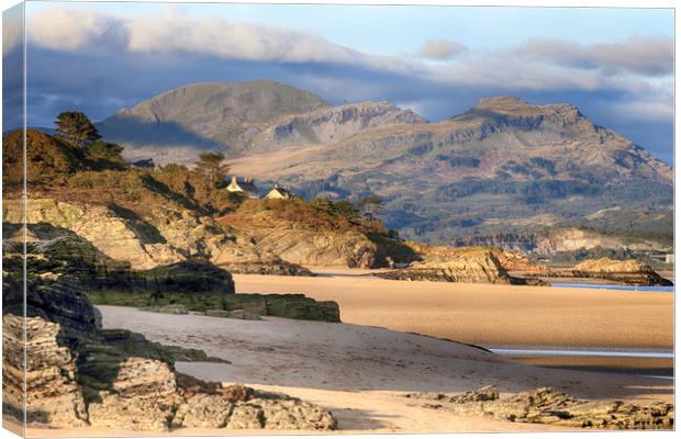 Black Rock Sands Canvas Print by Ceri Jones