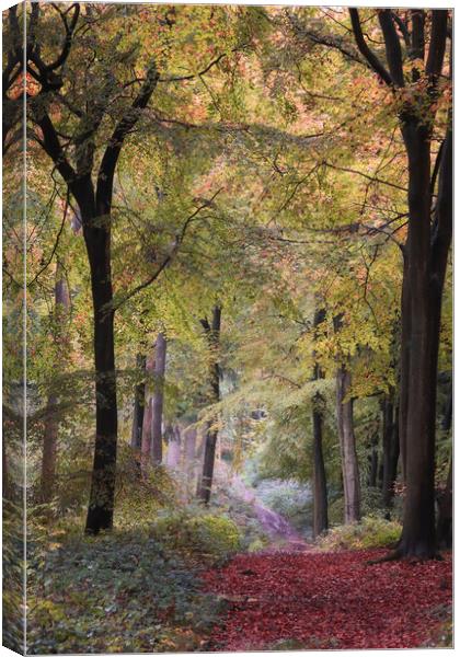 Autumn Bridleway Canvas Print by Ceri Jones