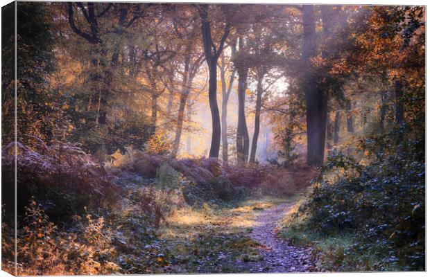 Autumn Path Canvas Print by Ceri Jones