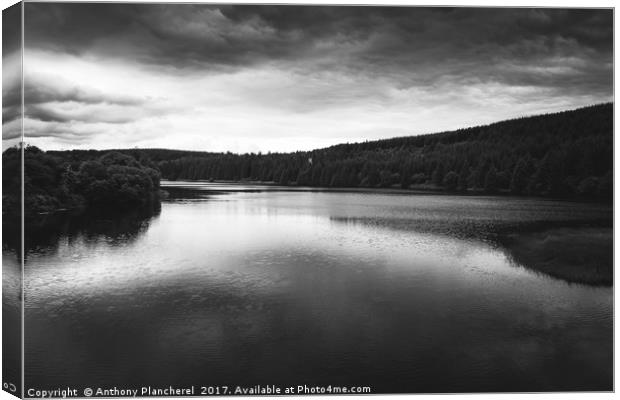 Dark Water Canvas Print by Anthony Plancherel