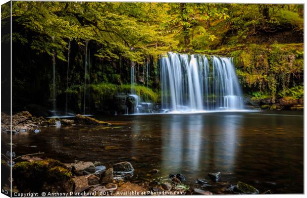 Upper Gushing Falls Canvas Print by Anthony Plancherel