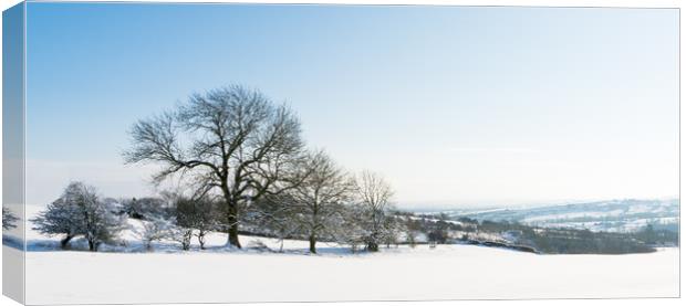 A Wintery Scene Canvas Print by Katie Mitchell