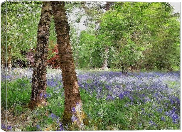 bluebell woods painting Canvas Print by mark lindsay