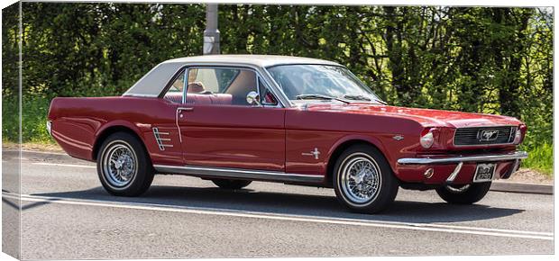 1966 Ford Mustang Canvas Print by Mark Hobbs