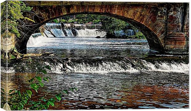 WEIR TO WEIR Canvas Print by len milner