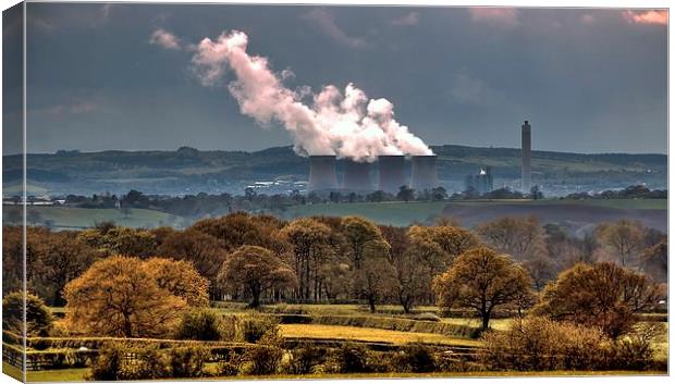 POWER AND BEAUTY IN THE COUNTRYSIDE  Canvas Print by len milner