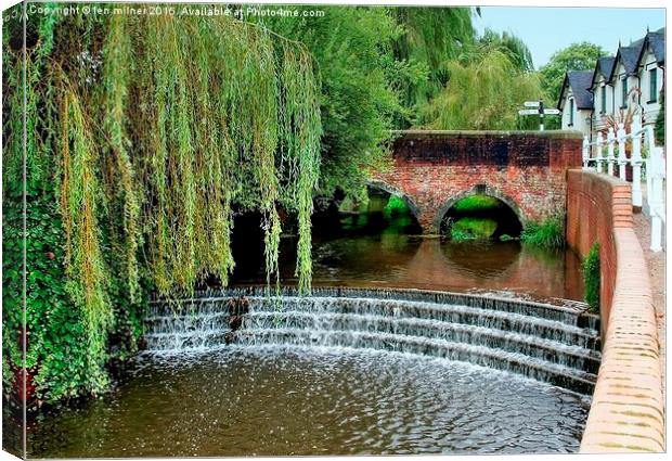 MINI WEIR ON ROLLESTON BROOK  Canvas Print by len milner