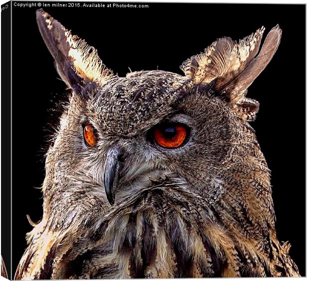 EURASIAN EAGLE OWL  Canvas Print by len milner