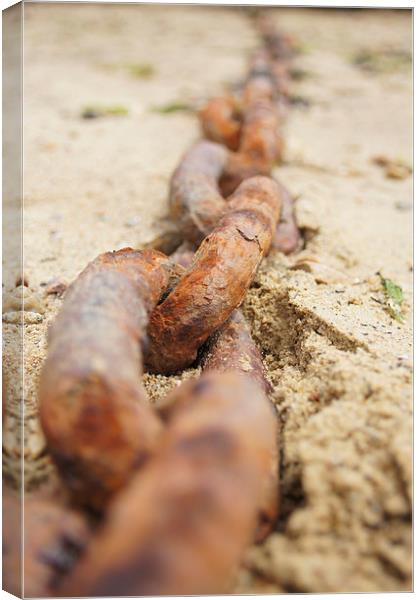 Rusty ship chain in sand Canvas Print by Eric Fouwels