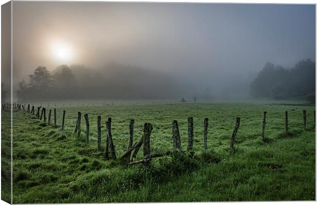  misty sunrise meadow Canvas Print by Eric Fouwels