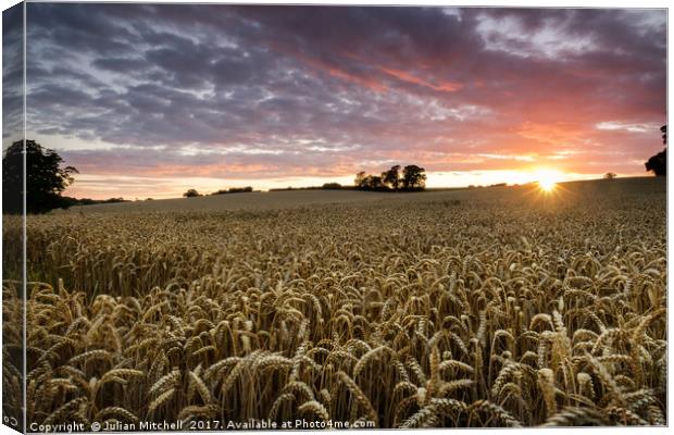 Sunset over the crop Canvas Print by Julian Mitchell