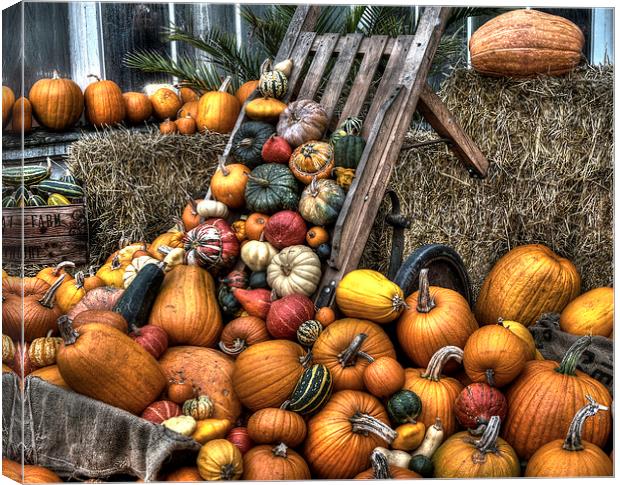 Tumbling Pumpkins HDR Canvas Print by Trevor Dawson