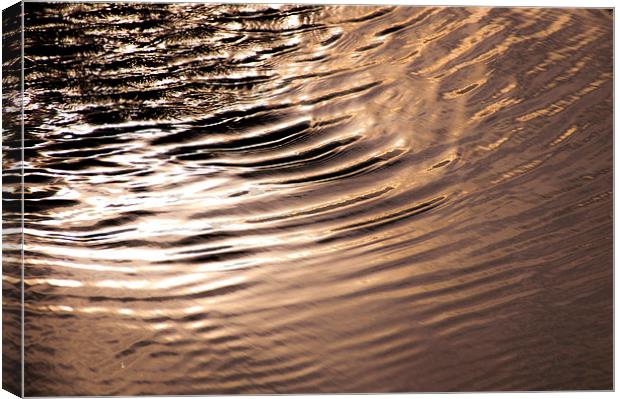 Sea Ripples Canvas Print by