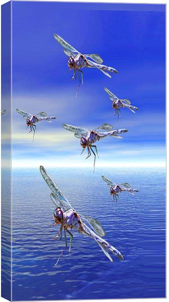 Dragonfly Canvas Print by Matthew Lacey