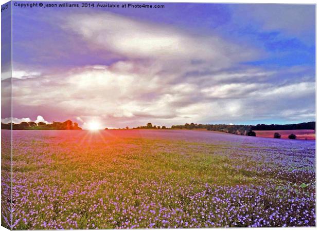 Linseed Glow Canvas Print by Jason Williams