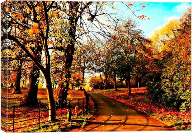 Road Trip Through Autumn.  Canvas Print by Jason Williams